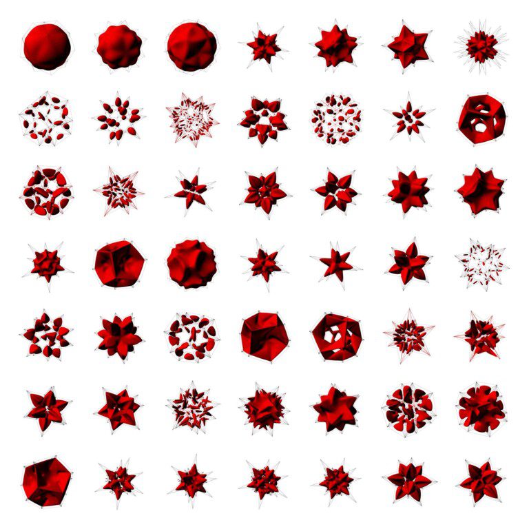 49 Icosahedral Stellations